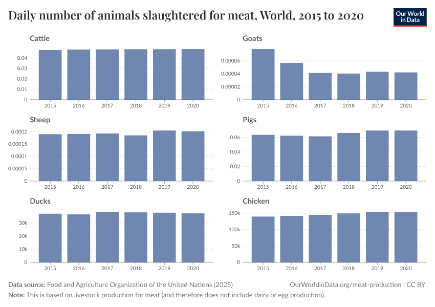 Daily number of animals slaughtered for meat