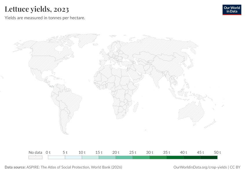 A thumbnail of the "Lettuce yields" chart